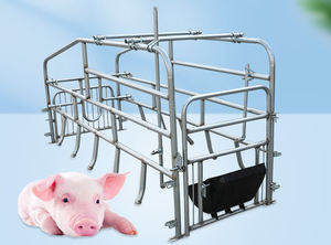 Domuz kalem tasarım çiftlik yetiştiriciliği ekipmanları ayarlanabilir Piglet annelik kafes - Product Image 6