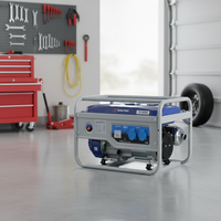 Générateur à essence TECHNICPOWER 1kw 3000rpm Certification Euro5 Monophasé/Triphasé 50/60HZ Moteur Silencieux Type Ouvert 0.85-9.5kw