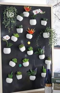 V153 Commercio All'ingrosso Mini Artifiaicl Succulente Piante Faxu di Vetro In Vaso <span class=keywords><strong>Pianta</strong></span> Verde Per Desktop di Decorazione Della Casa Decor - Product Image 3