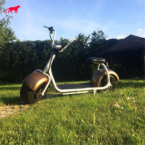 1500W Mini <span class=keywords><strong>bicicleta</strong></span> eléctrica eléctrico <span class=keywords><strong>de</strong></span> la motocicleta para adultos aprobación Ce con la pantalla LED - Product Image 2