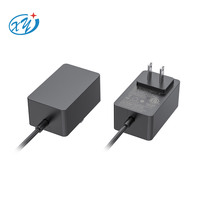 Adaptateur secteur personnalisé Xing Yuan 12V 2A Chargeur d'alimentation 24W AC 100-240V vers DC12V 2000mA 1500mA 1000mA 500mA Adaptateur secteur