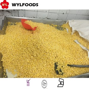 OEM/ODM IQF <span class=keywords><strong>maïs</strong></span> <span class=keywords><strong>sucré</strong></span> congelé de haute qualité pour Offres Spéciales en vrac pour la vente en gros et au détail - Product Image 5