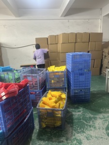 <span class=keywords><strong>Escoba</strong></span> retráctil económica para limpieza del hogar, de plástico chino, fácil de usar, con recogedor y cepillo, mango de madera - Product Image 6
