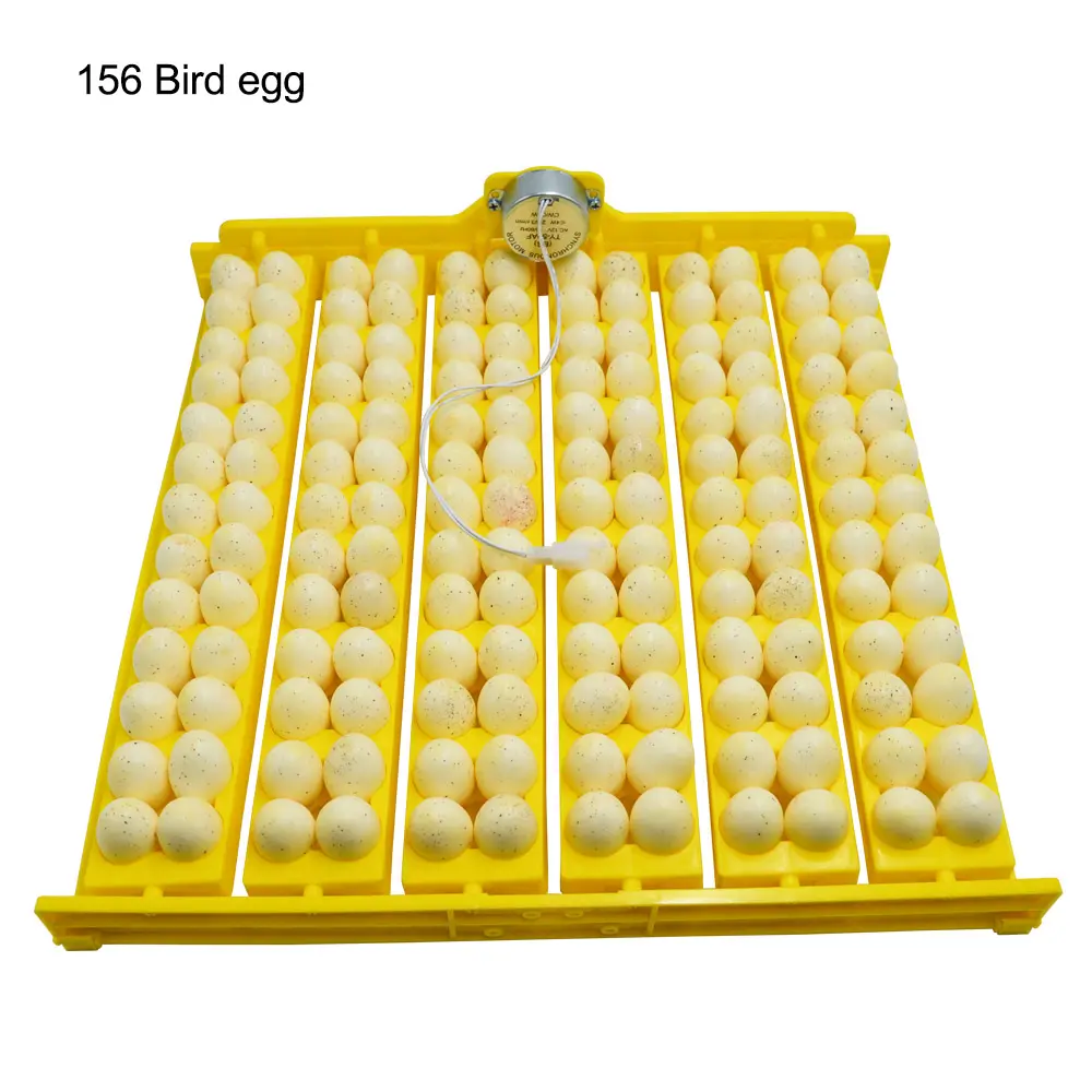 Bandeja multifuncional para huevos de gallina, pato, huevos de codorniz y Paloma
