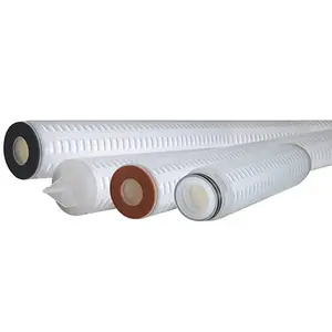 Filter katrij membran PES lapisan ganda IPS 0,45um + 0,22um kode 10 inci 7 untuk solusi air, filtrasi steril