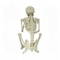 Figurine squelette de singe articulée d'Halloween, modèle d'os de primate flexible, accessoire effrayant pour décoration de cimetière, jardin ou maison hantée