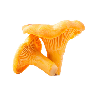 Extrait de <span class=keywords><strong>champignon</strong></span> <span class=keywords><strong>Chanterelle</strong></span>, mycélium, polysaccharide de <span class=keywords><strong>Chanterelle</strong></span> 30%, poudre de champignons Chanterelles - Product Image 3