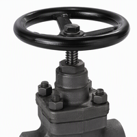 Vanne à soupape en acier forgé 2 pouces NPT A105 300 PSI avec volant fileté pour pipeline de vapeur