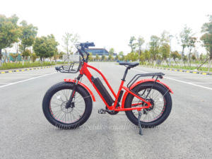 Vélo électrique de ville à cadre bas 24'' pour la ville, fabriqué en Chine, pour le cyclisme urbain - Product Image 2