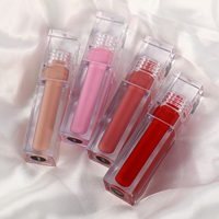 Brillant à lèvres transparent Logo personnalisé Rouge à lèvres au fini mat végétalien Tubes de brillant à lèvres vides en gros