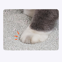 Nouvelle litière pour chat bentonite déodorant bonne forte agglutination litière pour chat en argile bentonite à faible teneur en poussière en Turquie