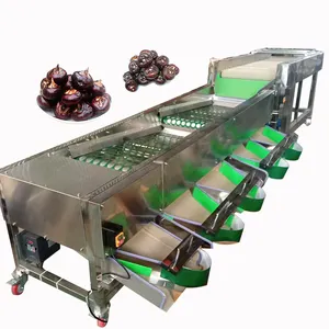 Máquina de classificação automática de tamanho de batata cítrica para frutas kiwi