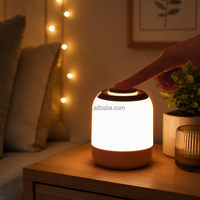 Lampu Tidur LED Modern Plastik Isi Ulang Kontrol Sentuh, Hadiah Kreatif untuk Bayi, Anak-Anak, Dewasa, Lampu Meja Taman, Lampu Samping Tempat Tidur