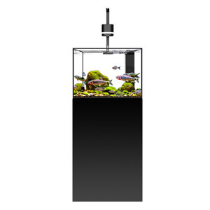 <span class=keywords><strong>Acuario</strong></span> RUIBIT 2026 Nuevo con Filtro de Fondo de Vidrio Ultra Blanco, Rectangular, <span class=keywords><strong>para</strong></span> Peces Dorados, <span class=keywords><strong>para</strong></span> Sala de Estar, Estudio, Hogar - Product Image 2