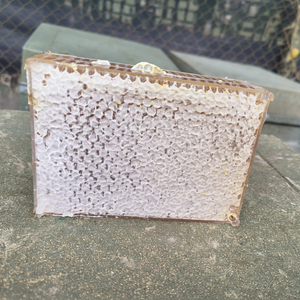 รังผึ้งดิบบริสุทธิ์รสชาติหวานธรรมชาติสินค้าคุณภาพดีจากเวียดนาม - Product Image 1