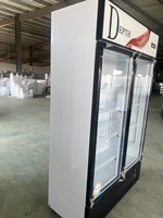 Réfrigérateur à boissons à refroidissement direct, réfrigérateur à double porte personnalisé en usine pour boissons, produits, réfrigérateur à double porte