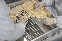 Complément alimentaire naturel en capsules d'extrait de palmier nain à marque privée avec huile de graines de citrouille