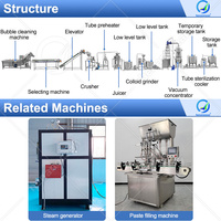 Machine automatique OCEAN pour le traitement des tomates, petite ligne de production de purée de tomates, machine à fabriquer du ketchup, prix