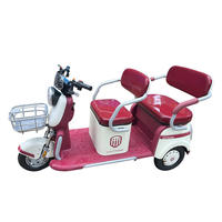Tricycle Électrique de Luxe Personnalisé 60V 12 Pouces 3 Places, Véhicule Passager à Trois Roues, Pédicab 60V 1000W, Scooter de Mobilité Ouvert