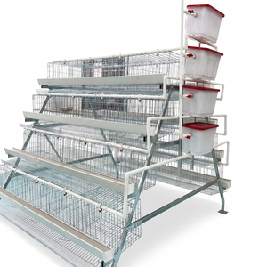 Offre Spéciale : Cages à <span class=keywords><strong>poules</strong></span> pondeuses de type A, système d'élevage en batterie pour ferme avicole, <span class=keywords><strong>poulailler</strong></span> automatique pour <span class=keywords><strong>poules</strong></span> pondeuses - Product Image 1