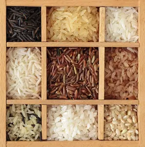 Instant-Reis/Produktions linie für künstlichen Reis/Pflanze/Verarbeitung linie für Ernährungs reis in Indien