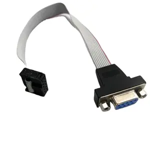 Custom FC-10P 2.0mm to DB 9 Male or Female Com mainboard RS232 cable 30CM computer mainboard box line serial port baffle wire