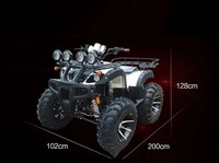 Go Kart Big Bull a Gasolina, Todoterreno de Cuatro Ruedas, Kart de Playa para Adultos