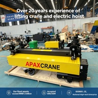 Palans électriques Apax Crane 1 tonne à faible hauteur de levage, norme européenne, chariot à double rail, 380V