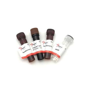 Reactivo de investigación de alta calidad 2 * SYBR Green PCR <span class=keywords><strong>Mastermix</strong></span> - Product Image 1