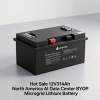 Batería de Litio de 12V 314Ah para Microredes BYOP en Centros de Datos con IA en América del Norte, en Oferta