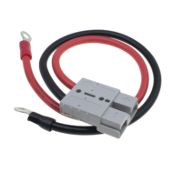 Câble personnalisé de longueur 50A avec connecteur à deux broches vers borne à joint torique M8, connecteur rapide pour la charge de batterie de véhicule