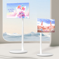 Écran de projection intelligent sans fil rotatif BOE 27 pouces pour divertissement et fitness, tablette portable pour amies, IP65, OEM