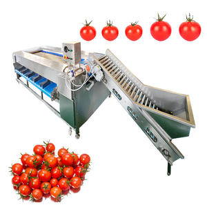 Fournisseur de la Chine Machine de tri d'oignons Machine de classement de fruits avec le meilleur <span class=keywords><strong>prix</strong></span> - Product Image 5