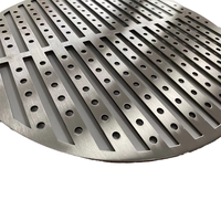 Grille de barbecue en acier inoxydable avec sacs à charbon de bois Bâtonnets en silicone pour usage domestique Grille de four pour four de cuisine