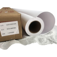 Offre Spéciale – Rouleau de Papier Photo Jet d'Encre en Vinyle PVC Mat Éco-solvant, Étanche, Résistant aux UV, Opaque, Durable et Anti-déchirure