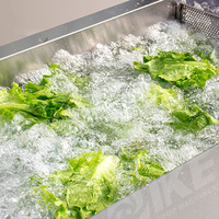 800 kg capaciteit groente- en fruitwasmachine voor mango's en cranberries