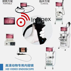 Ветеринарная эндоскопия гибкий ветеринарный эндоскоп для обследования желудочно-кишечного тракта лошади - Product Image 2