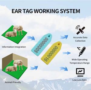 TPU <span class=keywords><strong>UHF</strong></span> Ucode <span class=keywords><strong>RFID</strong></span> 스마트 이어 태그 <span class=keywords><strong>ICAR</strong></span> 가축 관리에서 양 추적 인증 - Product Image 6