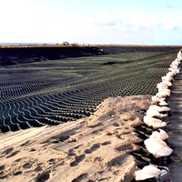 Grille de contrôle de l'érosion en géocell HDPE pour renforcement de la terre et application mur de soutènement pour chevaux, garantie 5 ans+, utilisation extérieure