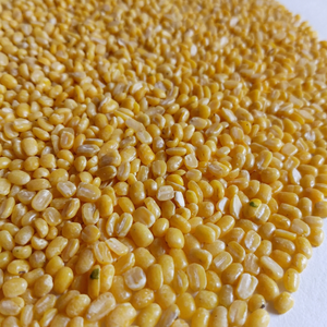 Moong Dal Amarillo Indio Fresco Recién Cosechado, Frijol Verde Natural Partido, 100% Puro y Seco, a Granel, Marca FitTree International, 24 Meses de Caducidad - Product Image 1