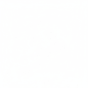 Nouveau palier moteur CB-1429A CB1429 025 STD pour pièces moteur Isuzu CR4189AM - Product Image 1