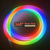 Magic Pixel SPI RGB/RGBW 360 °   Tube néon LED intelligent à commande intelligente, installation au plafond, pliage 3D, étanche IP67, néon flexible de 25 mm