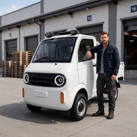 Camionnette électrique directement de l'usine, véhicule utilitaire électrique 4 roues pour adultes, véhicule utilitaire agricole, camion électrique 2 portes