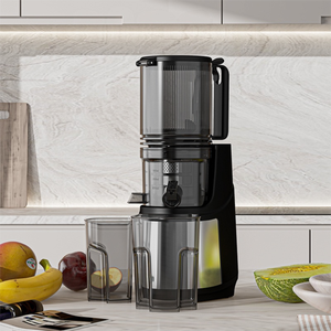 Tùy chỉnh 5.11 inch Thêm miệng rộng nước trái cây cao năng suất chậm Masticating juicers trái cây vắt máy lạnh Báo Chí chậm máy ép trái cây - Product Image 2