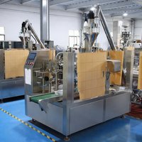 Machine d'emballage entièrement automatique CE pour le conditionnement de poudres et d'épices en sachets préformés de 500 g avec codage de date