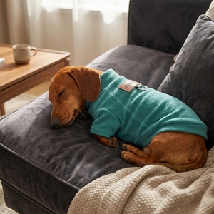 Cappotti Classici Invernali e Autunnali per Cani con Isolamento Aggiuntivo in Poliestere e Cotone Stampato per Cani Pit Bull - Product Image 4