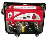 10kW Tragbarer Leiser Kraft-Wärme-Kopplungs-Kleingenerator für den Hausgebrauch Dual-Fuel-Generator