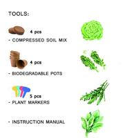 Kit de démarrage pour jardin intérieur, écologique, biodégradable, kit de plantation DIY pour la cuisine, pots à fleurs en carton brun chromé