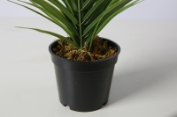 Plante artificielle de Table, palmier artificiel, bonsaï, décoration de Table à domicile, 40 cm 42cm