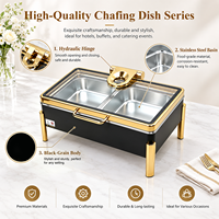 Série Buffet Commercial : Réchauds à Gaz en Acier Inoxydable, Ensemble de Buffet de Luxe Doré pour Restaurant et Hôtel